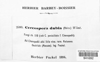 Passalora dubia image